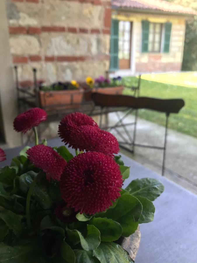 La Corte Delle 4 Stagioni Ozzano Monferrato Esterno foto