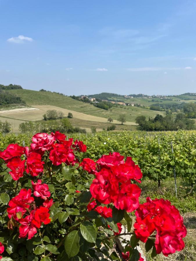 La Corte Delle 4 Stagioni Ozzano Monferrato Esterno foto
