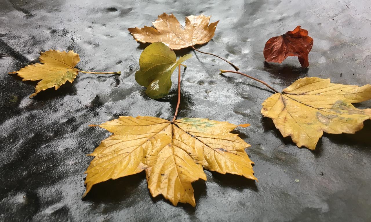 La Corte Delle 4 Stagioni Ozzano Monferrato Esterno foto